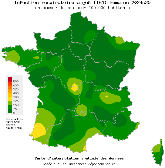 Infection respiratoire aiguë (IRA)